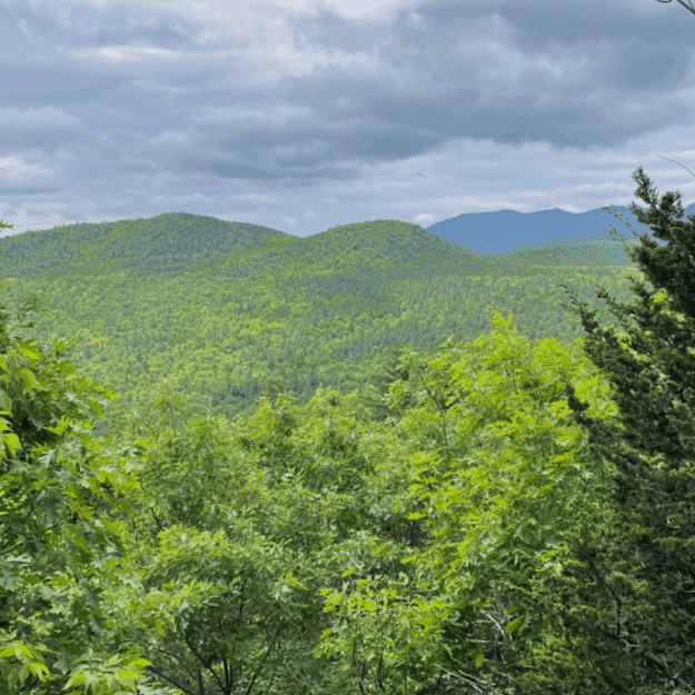 A view from the flank of Bassett Mountain. Photo by Tim Rowland