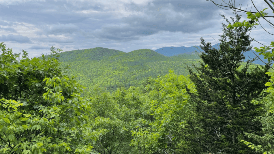 A view from the flank of Bassett Mountain. Photo by Tim Rowland